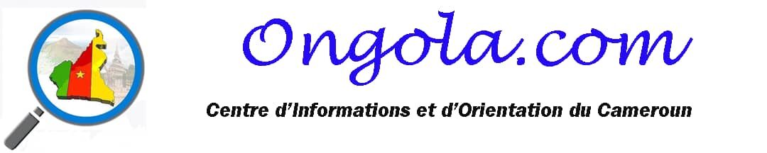 Centre d'informations et d'orientation du Cameroun.