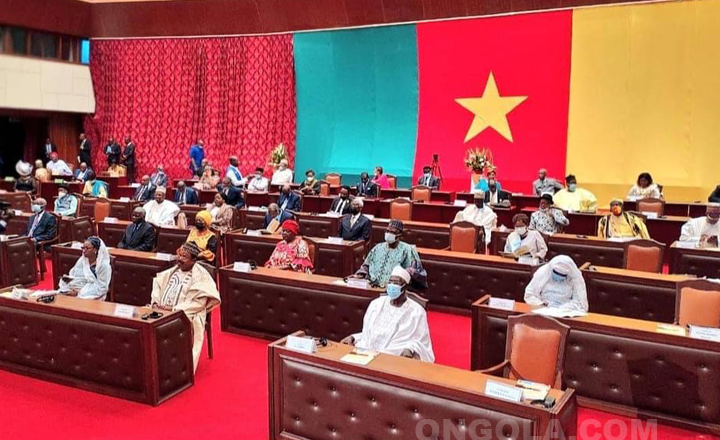 Senat Cameroun