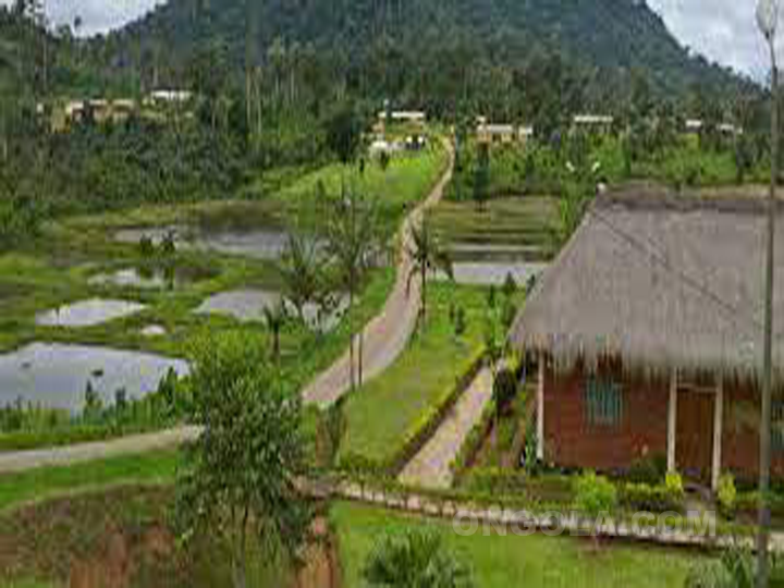 Les étangs du Centre Touristique de Nkolandom