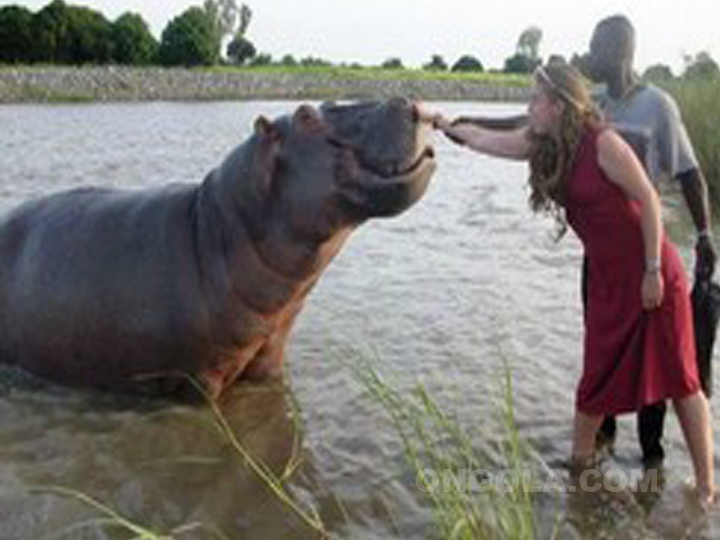 rives de la Benoué à Garoua