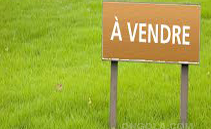 2 hectares à vendre - Mfou Yaoundé