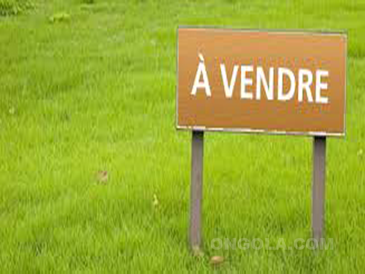 2 hectares à vendre - Mfou Yaoundé
