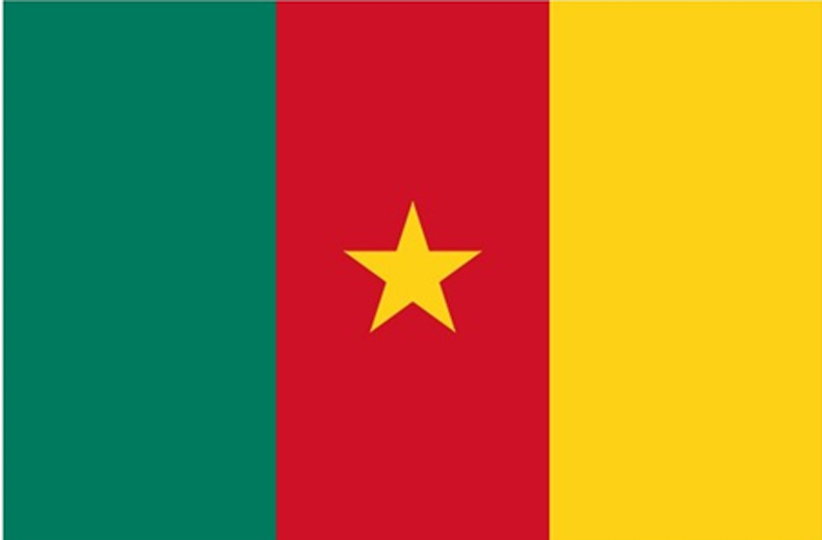 Visas pour le Cameroun : Tout le monde en ligne