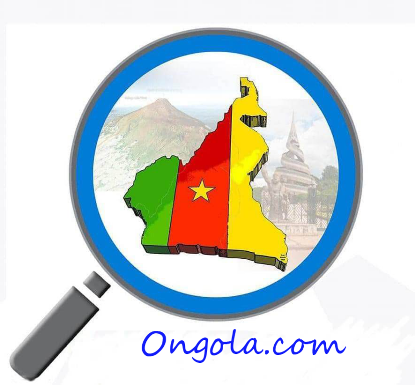 Actualité du Cameroun