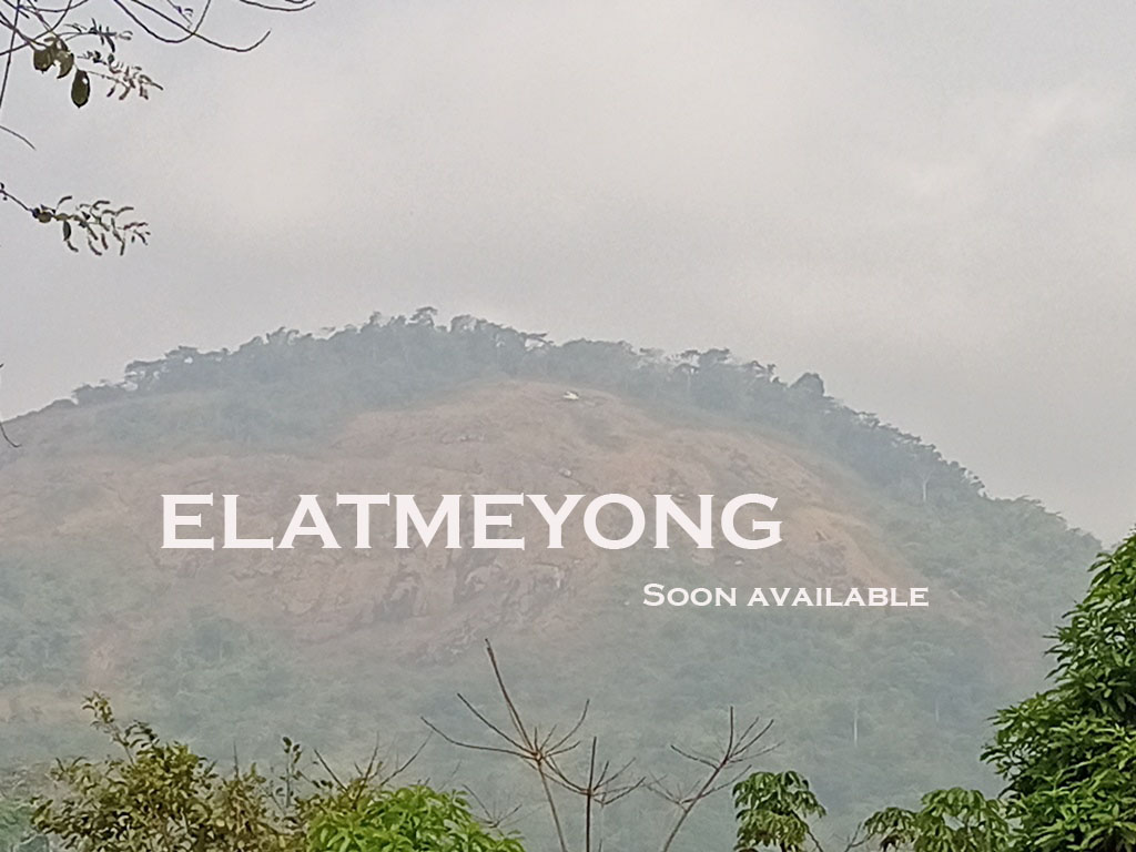Offre Touristique d'Elat - Yaoundé