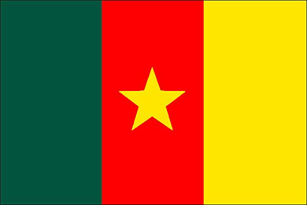 GIC PROMAS – Biko’s - Cameroun