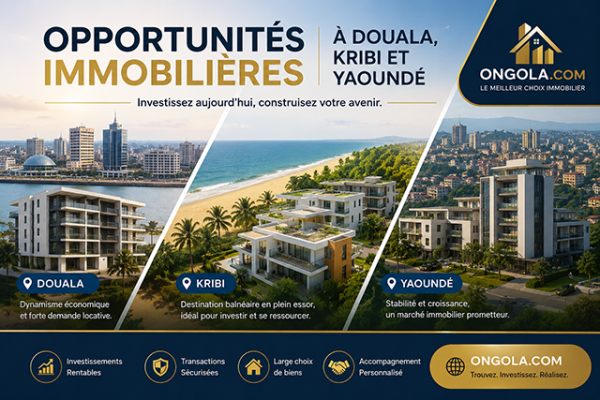 Immobilier Cameroun