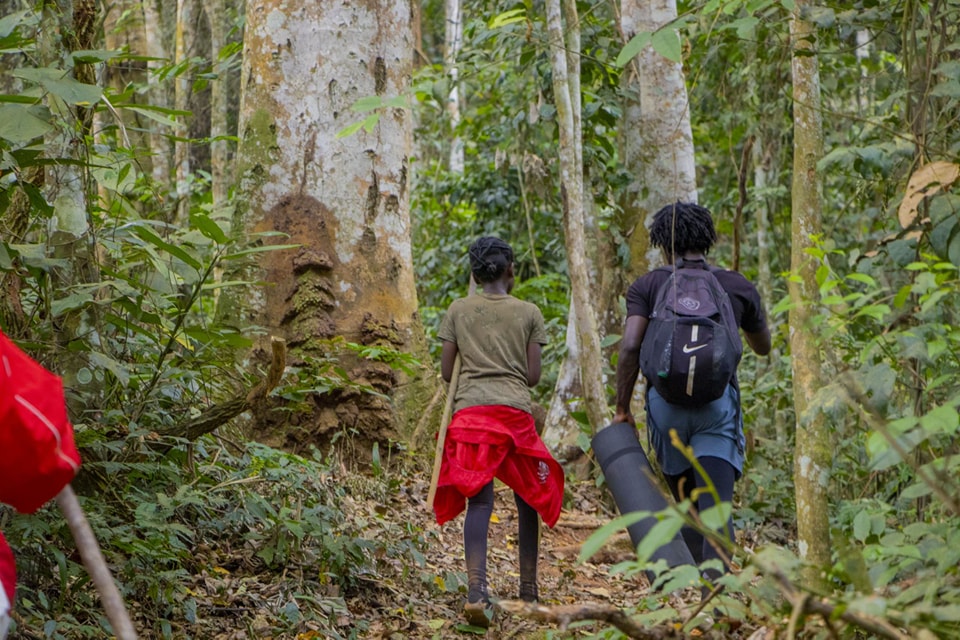 Dimanche de Cure pour les membres de Wellness au Mont Endoum