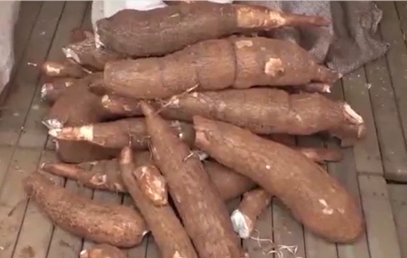 Ngoulemakong célèbre les micro, petites et moyennes entreprises