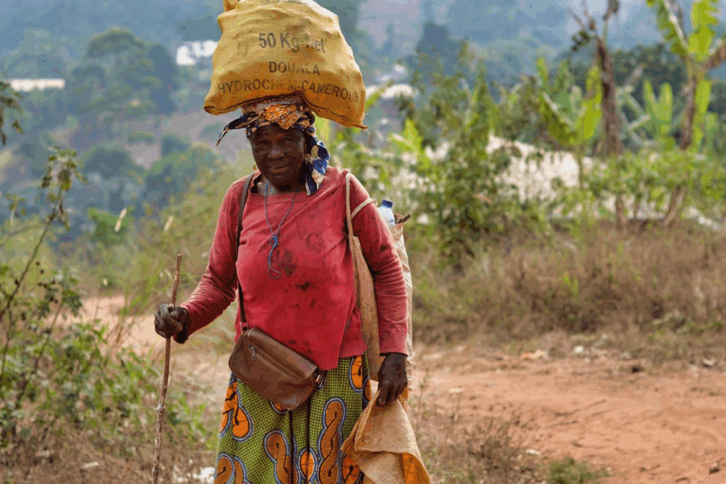Nature environnement et agriculture au Cameroun
