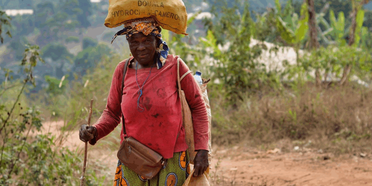 Nature environnement et agriculture au Cameroun