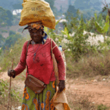 Nature environnement et agriculture au Cameroun