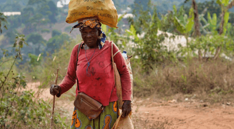 Nature environnement et agriculture au Cameroun