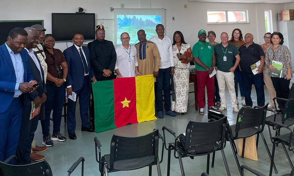 Café : le Cameroun se perfectionne au Brésil