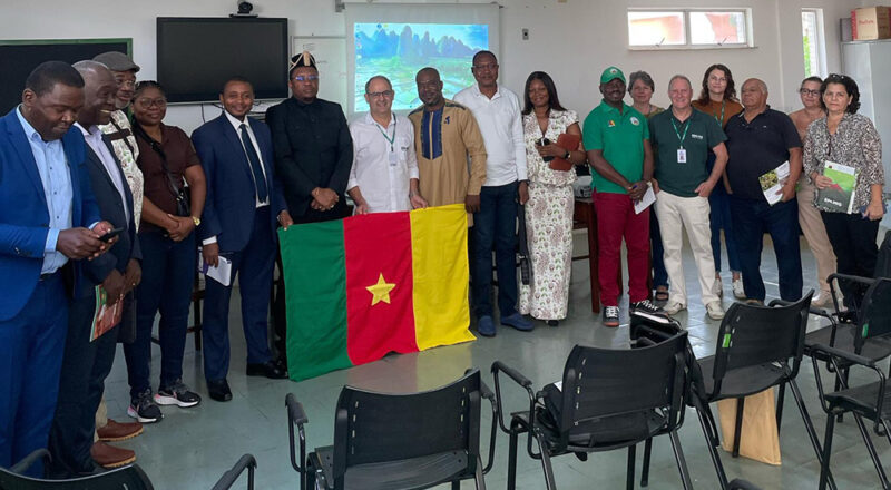 Café : le Cameroun se perfectionne au Brésil