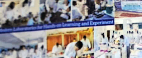Ladybird Group of School - Yaoundé Cameroun