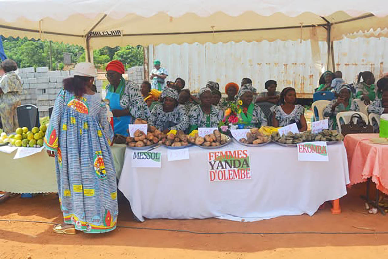 Les femmes rurales du Mfoundi unies pour le progrès