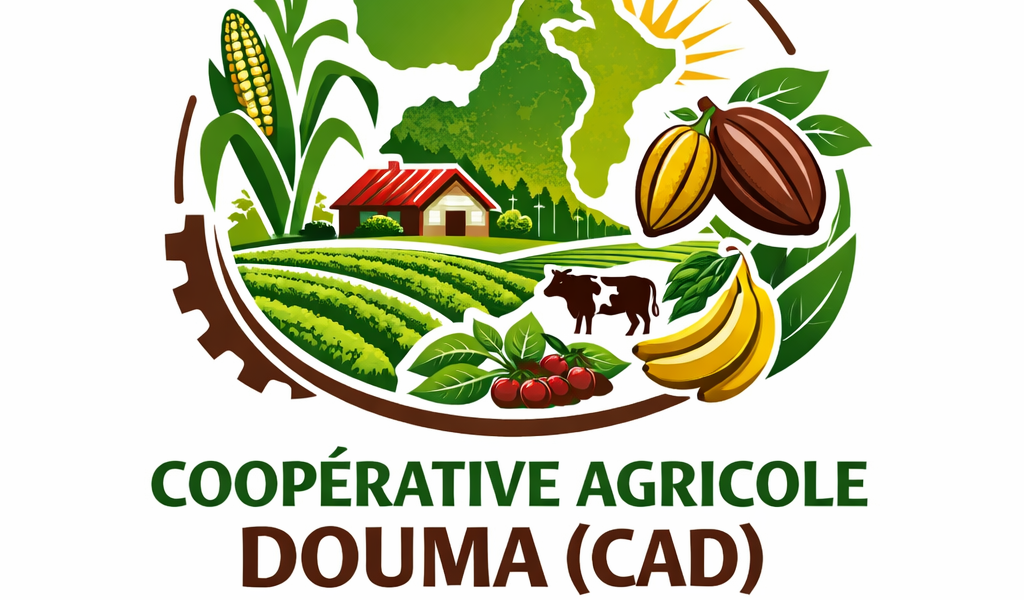 COOPÉRATIVE AGRICOLE DOUMA (CAD)